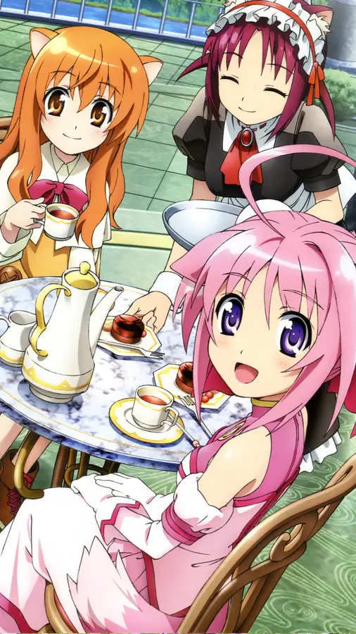 Tokyo Mew Mew Tea Time Gathering